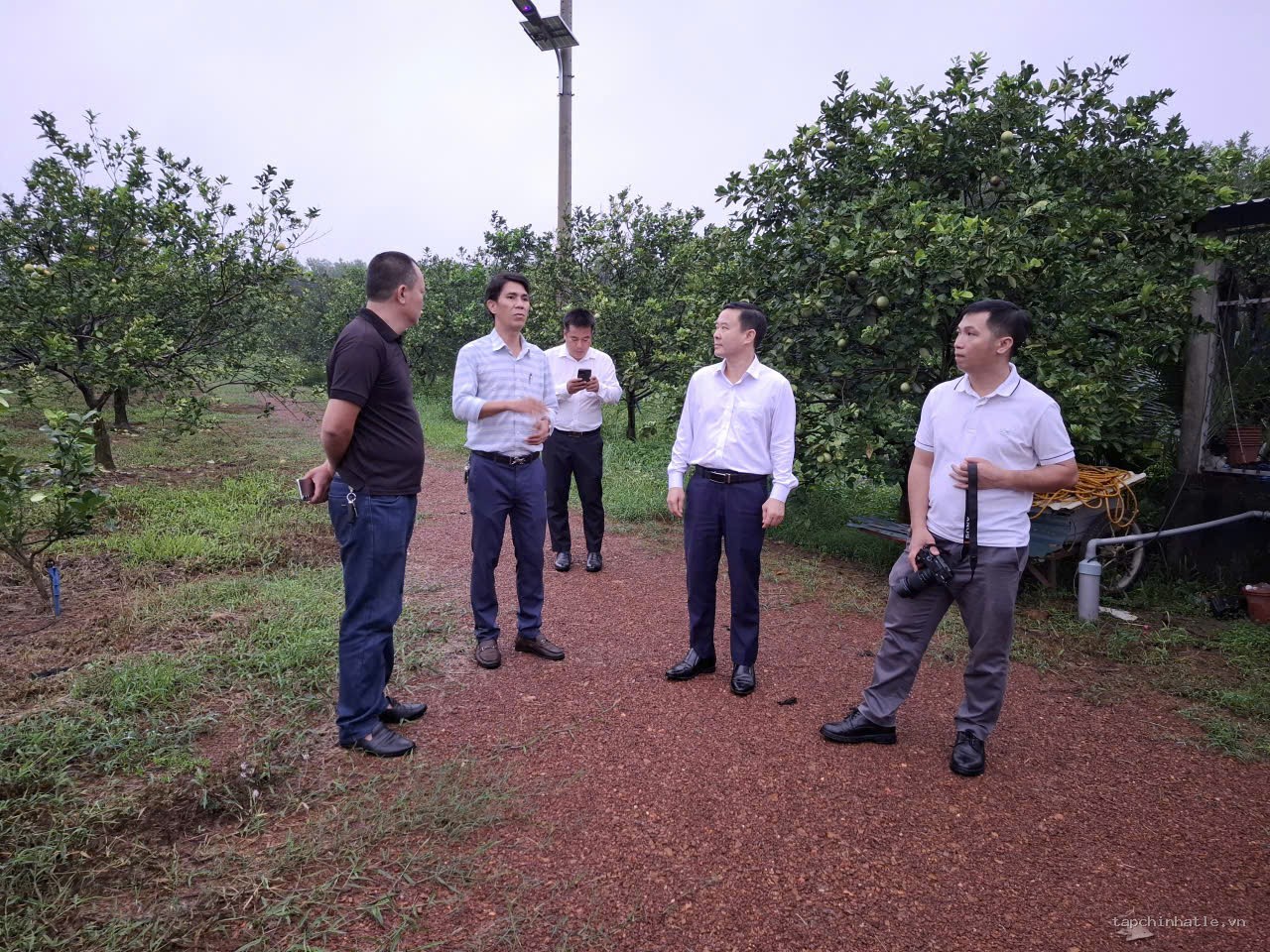 Đoàn tham quan thực tế tại mô hình cam sạch (cam thương hiệu K4) ở xã Hải Lăng